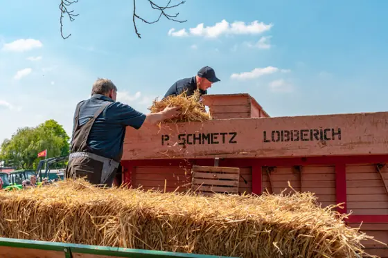 Treckertreffen 5